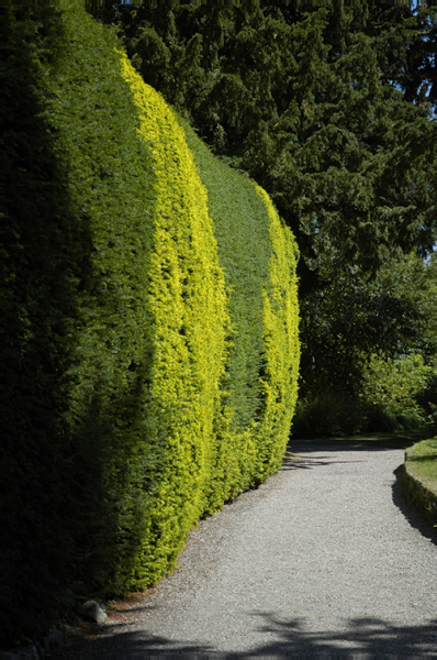 Wales 244 Chirk Castle and gardens