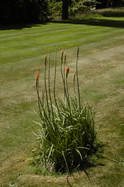 Wales 250 Chirk Castle and gardens