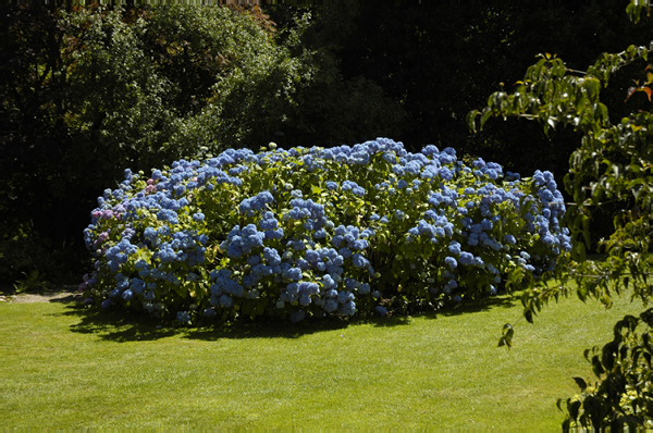 Wales 252 Chirk Castle and gardens