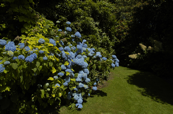 Wales 255 Chirk Castle and gardens