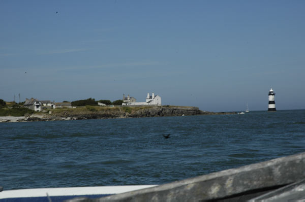 Wales 328 Puffin Island