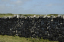 Wales 050 Worms Head  Rhossili in Gower Peninsula