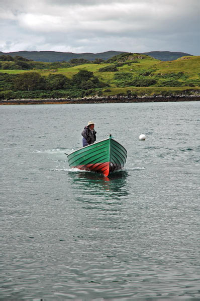 1 Seals in Dunvegan Isle of Skye  02