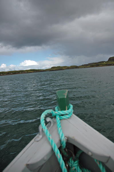 1 Seals in Dunvegan Isle of Skye  04