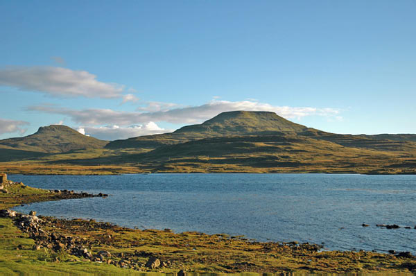 1 Seals in Dunvegan Isle of Skye  35