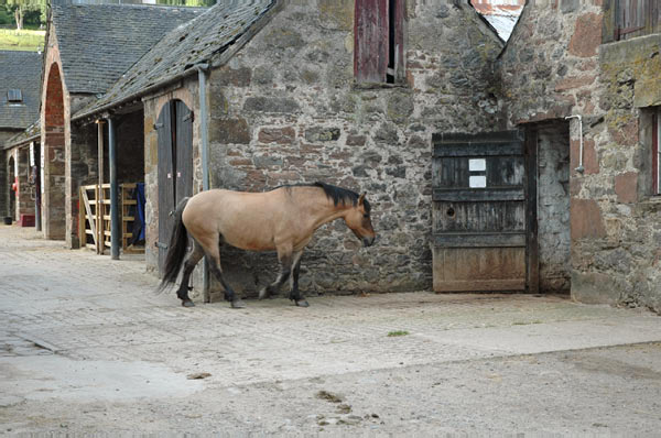 4 Drumnadrochit Campsite Loch Ness  16