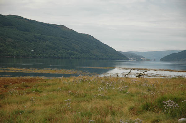 7 campsite Ardgartan Arrochar Loch Long 22