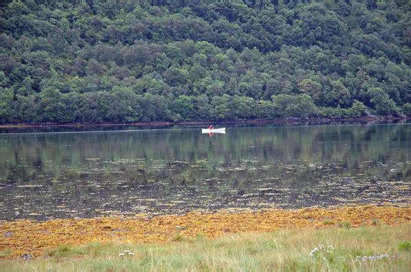 7 campsite Ardgartan Arrochar Loch Long 23