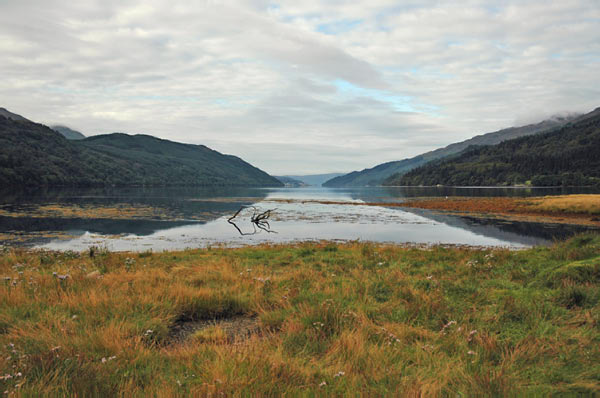 7 campsite Ardgartan Arrochar Loch Long 24