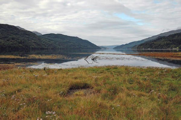 7 campsite Ardgartan Arrochar Loch Long 25