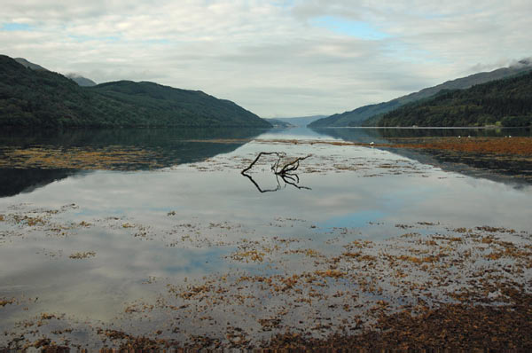 7 campsite Ardgartan Arrochar Loch Long 26