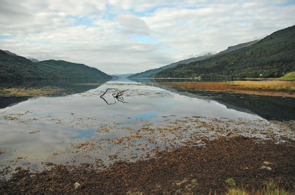 7 campsite Ardgartan Arrochar Loch Long 27