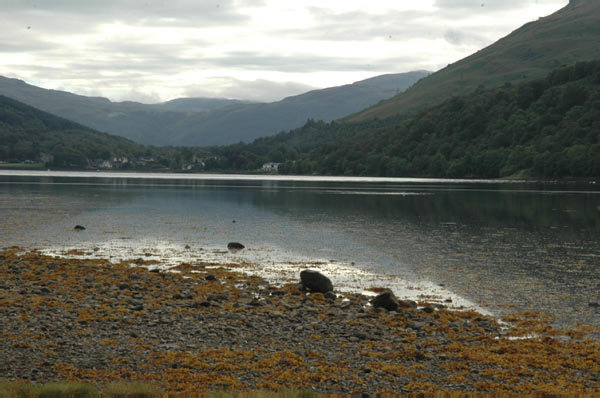 7 campsite Ardgartan Arrochar Loch Long 29