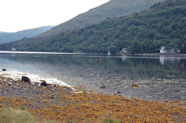 7 campsite Ardgartan Arrochar Loch Long 30