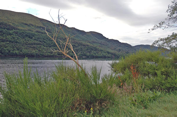 7 campsite Ardgartan Arrochar Loch Long 35