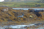 1 Seals in Dunvegan Isle of Skye  21