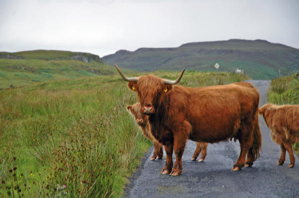 9b Campsite Dunvegan in Isle of Skye 01 10