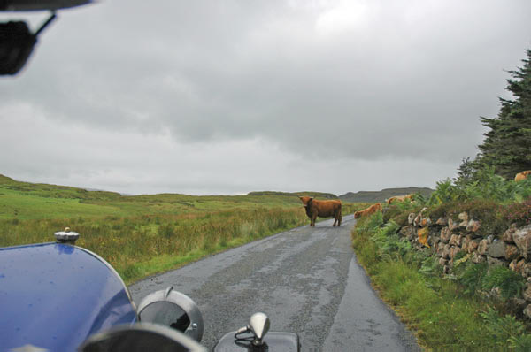 9b Campsite Dunvegan in Isle of Skye 01 16