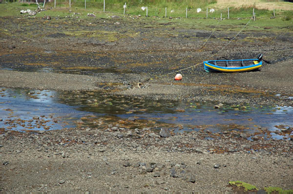 9b Campsite Dunvegan in Isle of Skye 01 17