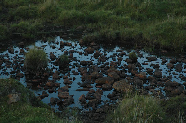 9b Campsite Dunvegan in Isle of Skye 01 45