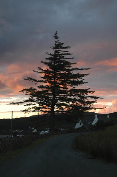 9b Campsite Dunvegan in Isle of Skye 01 58