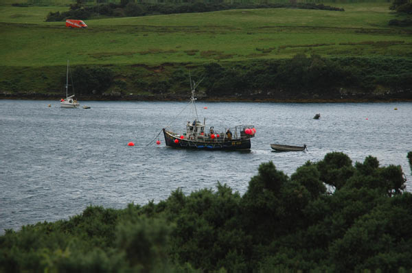 9b Campsite Dunvegan in Isle of Skye 01 70