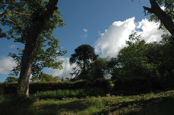 9b Castle Dunvegan of Macleod and garden in Isle of Skye 01  03