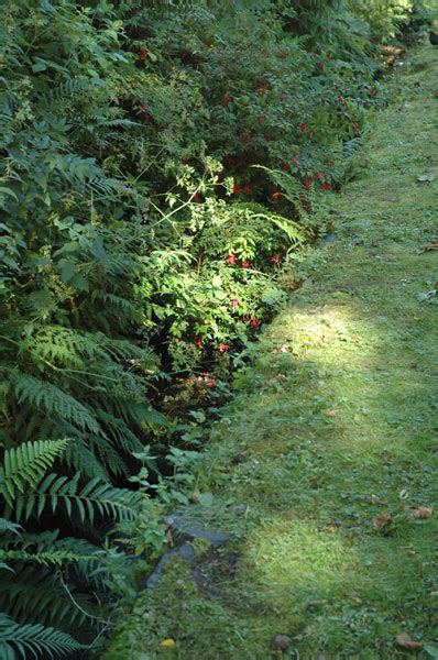 9b Castle Dunvegan of Macleod and garden in Isle of Skye 01  04