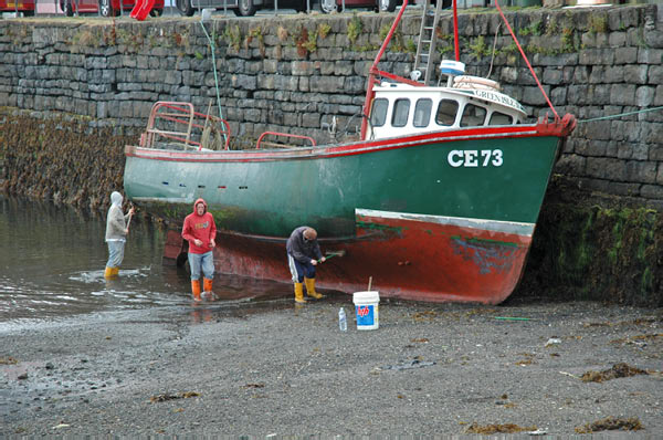 Portree in Isle of Skye 11