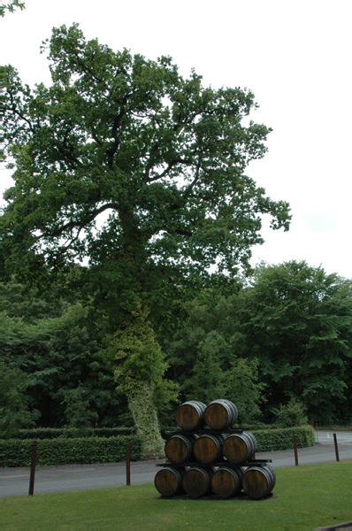 Calais_to_Scrabster 0176 Aberfeldy Scotch Whisky Distillery