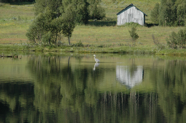 Bergen_to_Larvik 124