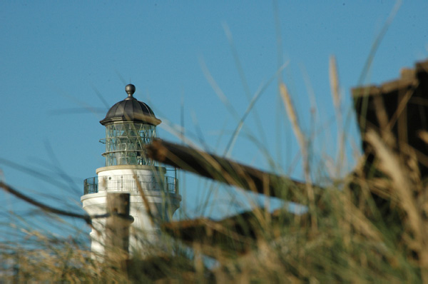 Hirtshals 106