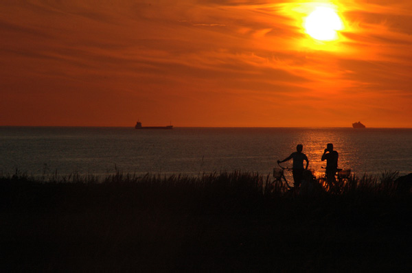 Hirtshals 222