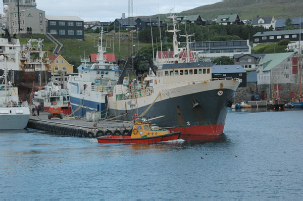 Torshaven_Faroe_Islands 134