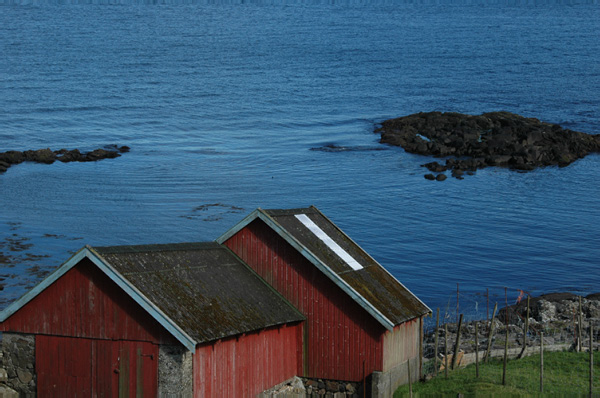 Torshaven_Faroe_Islands 232