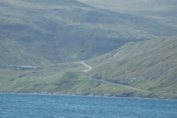 Torshaven_Faroe_Islands 421