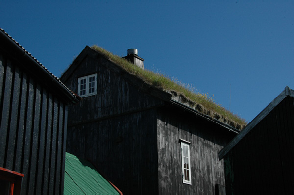 Torshaven_Faroe_Islands 487