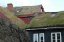 Torshaven_Faroe_Islands 141