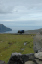 Torshaven_Faroe_Islands 328