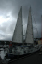 Torshaven_Faroe_Islands 387