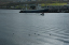 Torshaven_Faroe_Islands 394