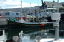 Torshaven_Faroe_Islands 479