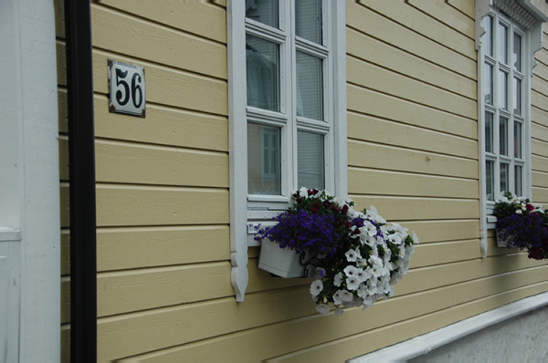 Aalesund 016