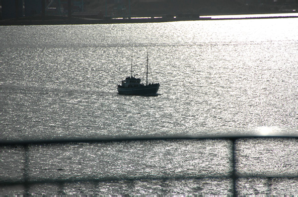 Ferry Oslo Copenhagen 161