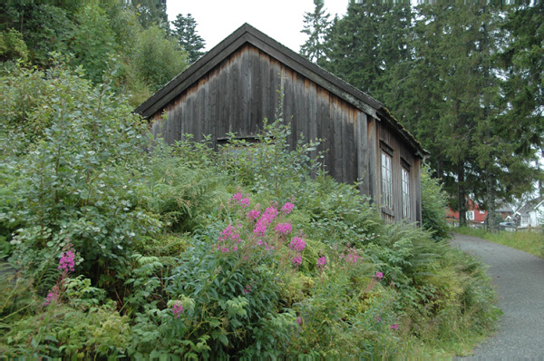 Trondheim Troendelag Folkemuseum 083