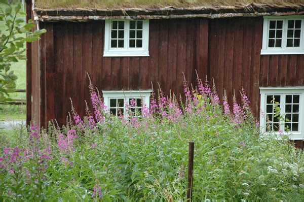 Trondheim Troendelag Folkemuseum 207