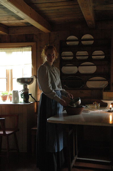 Trondheim Troendelag Folkemuseum 218