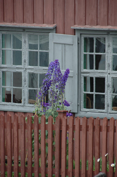 Trondheim Troendelag Folkemuseum 251