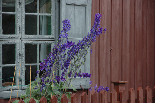 Trondheim Troendelag Folkemuseum 298