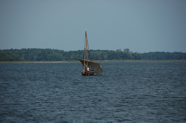 Roskilde Vikingskibs 206